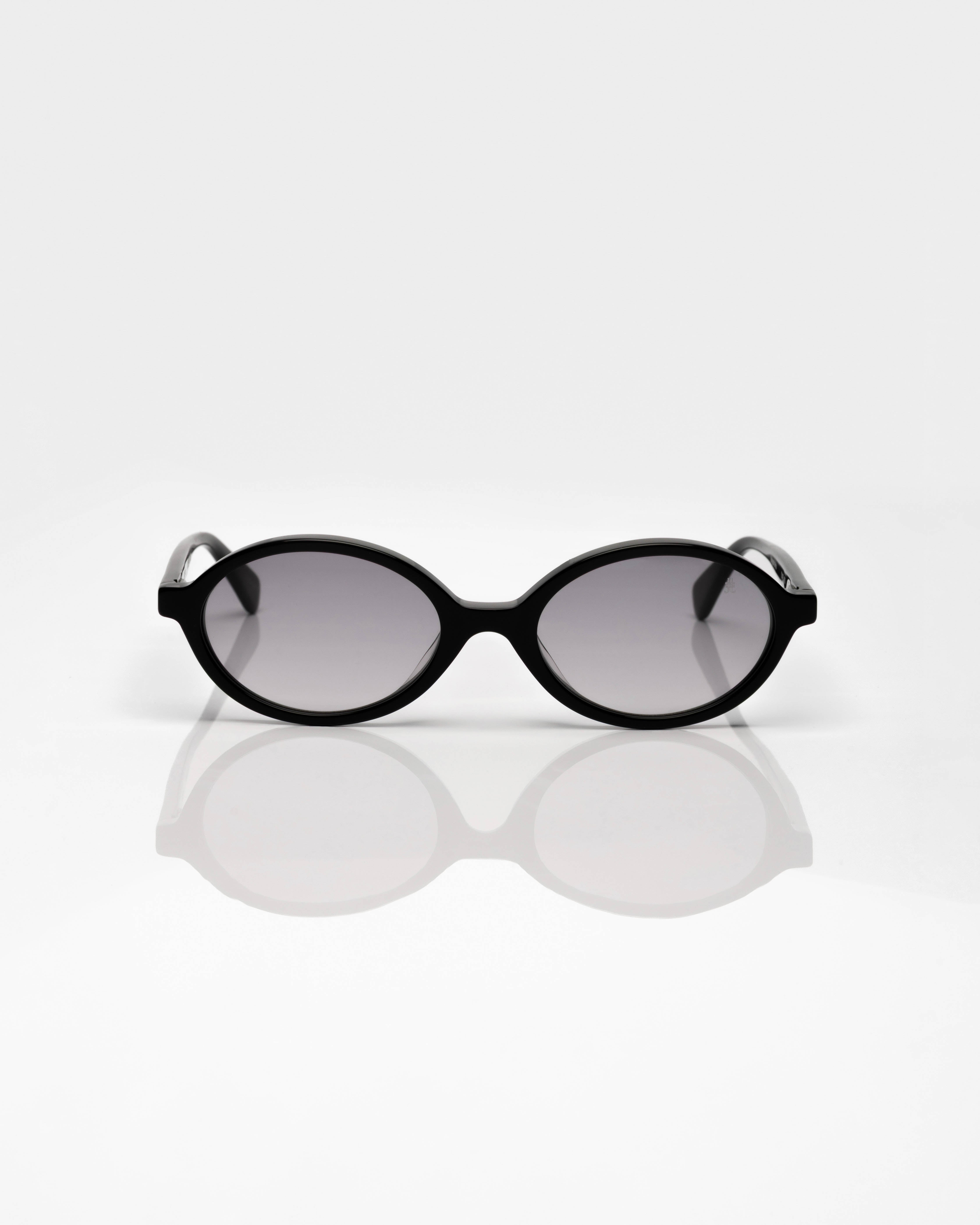 Black and Silver - Gradient Grey / Noir et Argent - Dégradé Gris / Sunglasses / Solaire