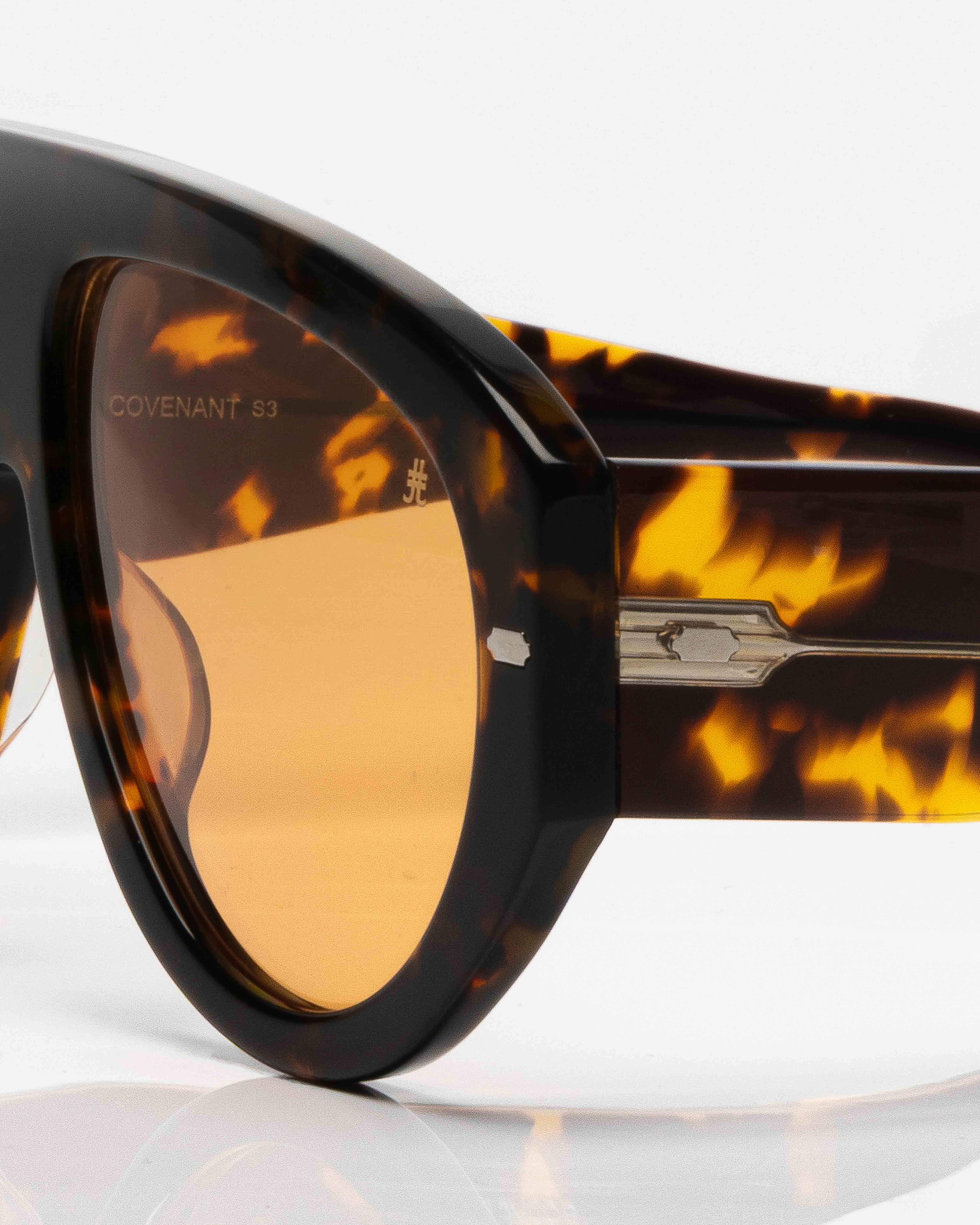 Dark Tortoise and Silver - Orange /Écaille et Argent - Orange / Sunglasses / Solaire